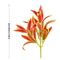 uploads/erp/collection/images/Home Garden/CongDing/XU0610617/img_b/XU0610617_img_b_3